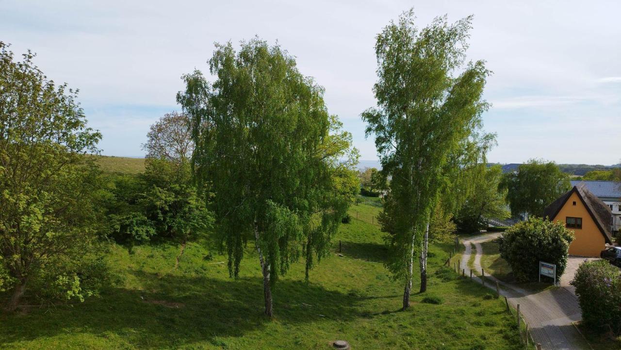 Traumblick Und Komfort - Lichtdurchflutete 85 Qm Wohnung Nahe Suedstrand Goehren Inklusive Schwimmbad Und Sauna Im Ahoi Sellin Exteriör bild