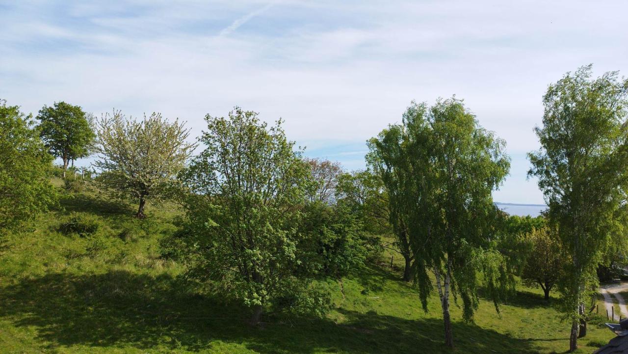 Traumblick Und Komfort - Lichtdurchflutete 85 Qm Wohnung Nahe Suedstrand Goehren Inklusive Schwimmbad Und Sauna Im Ahoi Sellin Exteriör bild