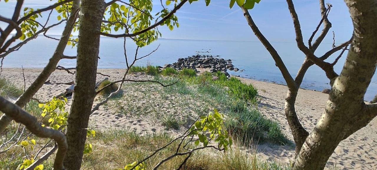 Traumblick Und Komfort - Lichtdurchflutete 85 Qm Wohnung Nahe Suedstrand Goehren Inklusive Schwimmbad Und Sauna Im Ahoi Sellin Exteriör bild